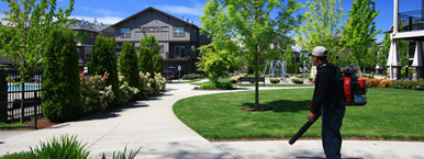 HOA landscaping services