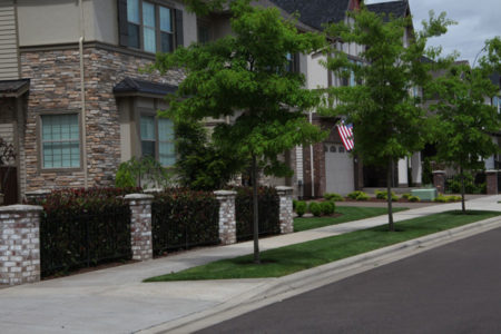 HOA landscaping