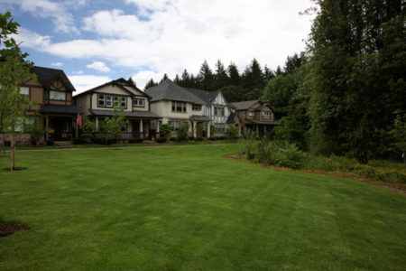 HOA landscaping