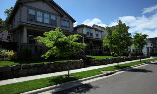 HOA landscaping