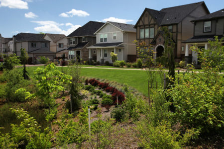 Landscape Care