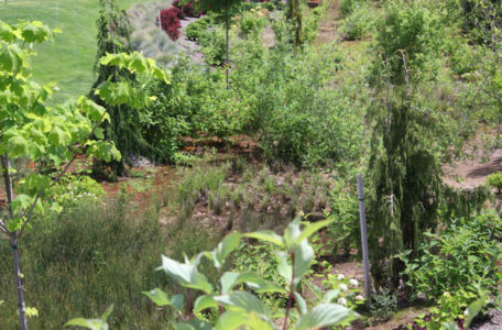 Landscape Care
