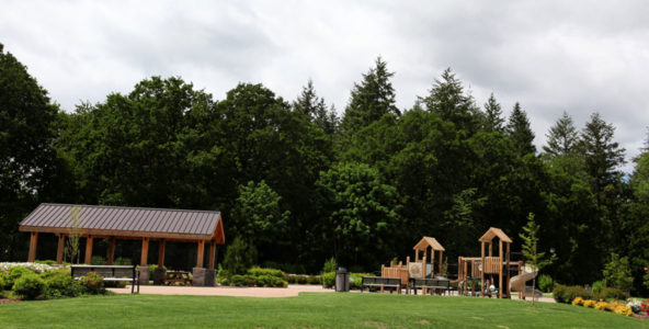 Landscape Care