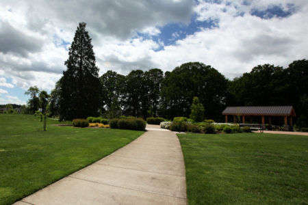 Landscape Care