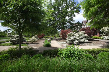 Landscape Care
