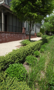 Landscape Care