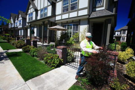HOA landscaping services