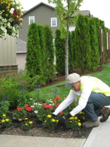 HOA landscaping services