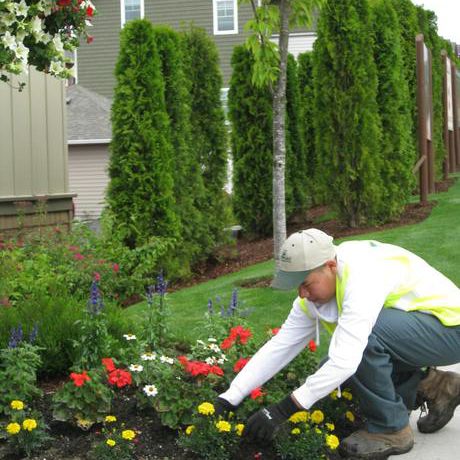 HOA landscaping services