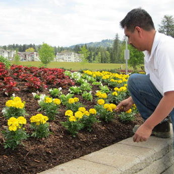 HOA landscaping
