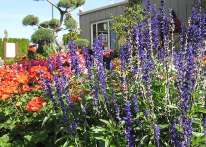 HOA landscaping