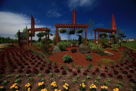 HOA landscaping