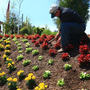 HOA landscaping