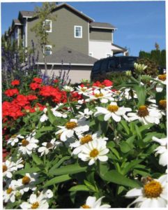 HOA landscaping