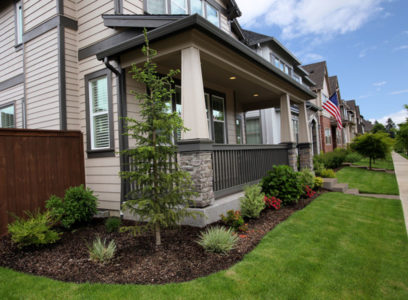 landscape maintenance